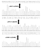 Gene Cell Tissue